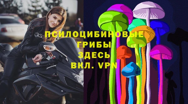 МДПВ Арсеньев
