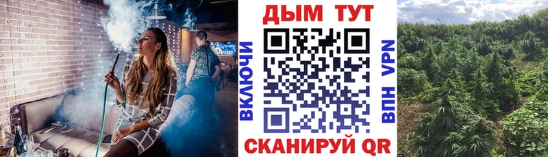 Бошки марихуана AK-47  маркетплейс телеграм  Мглин  hydra ONION 